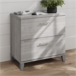 Somerset 2 Drawer Lateral File Cabinet in Platinum Gray - Engineered Wood