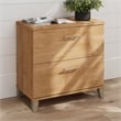 Somerset 2 Drawer Lateral File Cabinet in Maple Cross - Engineered Wood