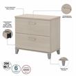 Somerset 2 Drawer Lateral File Cabinet in Sand Oak - Engineered Wood