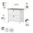 Salinas L Desk with File Cabinet & Bookcase in White/Shiplap - Engineered Wood