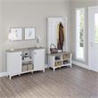 Salinas Hall Tree with Shoe Bench & Cabinet in White/Shiplap - Engineered Wood