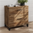 Somerset 2 Drawer Lateral File Cabinet in Fresh Walnut - Engineered Wood