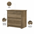 Cabot 2 Drawer Lateral File Cabinet in Reclaimed Pine - Engineered Wood