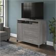 Somerset Tall TV Stand with Storage in Platinum Gray - Engineered Wood