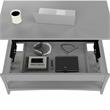 Salinas Lift Top Coffee Table with Storage in Cape Cod Gray - Engineered Wood