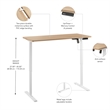 Bush Furniture Energize 55W x 24D Electric Height Adjustable Desk in Maple