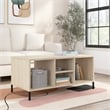 Essence Coffee Table with Shelves in Natural Elm - Engineered Wood