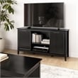 Bush Home Camille 58W Fluted TV Stand with Storage in Onyx Birch