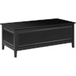Bush Home Camille 47W Fluted Lift Top Coffee Table with Storage in Onyx Birch