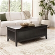 Bush Home Camille 47W Fluted Lift Top Coffee Table with Storage in Onyx Birch