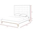 Posh Living Blake Button-Tufted Velvet Queen Bed Frame in Gray
