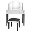Posh Living Caleb 2-Drawer Bedroom Vanity Set with Stool and Mirror in Black