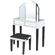 Posh Living Caleb 2-Drawer Bedroom Vanity Set with Stool and Mirror in Black