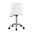 Posh Briar Stainless Steel and Acrylic Office Chair with Casters in Clear/Chrome