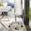 Posh Briar Stainless Steel and Acrylic Office Chair with Casters in Clear/Chrome