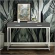 Posh Briar 2-Drawer Metal Console Table with Acrylic Legs in Dark Gray/Chrome
