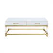 Posh Briar 2-Drawer Metal Coffee Table with Acrylic Legs in White/Gold