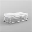 Posh Briar 2-Drawer Metal Coffee Table with Acrylic Legs in White/Chrome