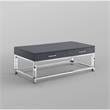Posh Briar 2-Drawer Metal Coffee Table with Acrylic Legs in Dark Gray/Chrome
