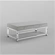 Posh Briar 2-Drawer Metal Coffee Table with Acrylic Legs in Light Gray/Chrome
