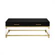 Posh Briar 2-Drawer Metal Coffee Table with Acrylic Legs in Black/Gold