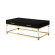 Posh Briar 2-Drawer Metal Coffee Table with Acrylic Legs in Black/Gold