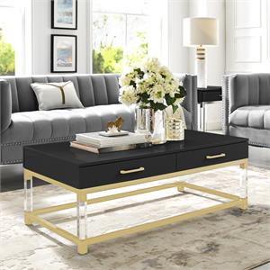 Posh Briar 2-Drawer Metal Coffee Table with Acrylic Legs in Black/Gold