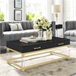 Posh Briar 2-Drawer Metal Coffee Table with Acrylic Legs in Black/Gold