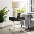 Posh Living Briar 1-Drawer Metal End Table with Acrylic Legs - Black/Gold