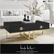 Posh Living Mano 2-Drawers Stainless Steel Base Coffee Table - Black/Gold