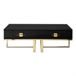 Posh Living Mano 2-Drawers Stainless Steel Base Coffee Table - Black/Gold