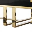 Posh Living Mano 2-Drawers Stainless Steel Base Coffee Table - Black/Gold