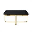 Posh Living Kaloni Modern Stainless Steel Base Coffee Table in Black/Gold