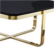 Posh Living Kaloni Modern Stainless Steel Base Coffee Table in Black/Gold