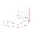 Blake Beds Blush Velvet Queen Button Tufted