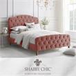 Calliope Bed Blush Velvet Twin Diamond Tufted Headboard and Footboard