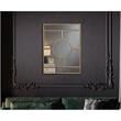 Ally Kallie Rectangular Glass Gold Polished Accent Wall Mirror