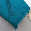Derick Teal Polyester 50x60 Inches Chenille Tassel Knit Throw Blanket