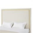 Creed Bed Beige Velvet King Upholstered Powder Coated Gold Frame and Base