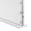 Geovanni Glass Mirror 20.4L x 4.7W x 16.7H 12 Dimmable LED Bulbs In White Color