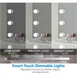 Geovanni Glass Mirror 20.4L x 4.7W x 16.7H 12 Dimmable LED Bulbs In White Color