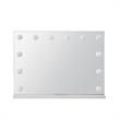 Geovanni Glass Mirror 20.4L x 4.7W x 16.7H 12 Dimmable LED Bulbs In White Color