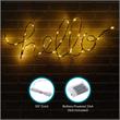 Posh Living Muhammed Hello Accent Light LED Sign Battery-Powered