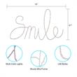 Posh Living Kynzlee Smile Multicolor LED Sign Battery-Powered
