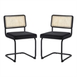 Posh Living Sherry Velvet Dining Chair Seat (Set of 2) Black
