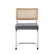 Posh Living Sherry Velvet Dining Chair Seat (Set of 2) Gray