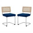Posh Living Sherry Velvet Dining Chair Seat (Set of 2) Navy
