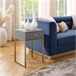 Posh Living Omer Faux Shagreen End Table Gray/Gold