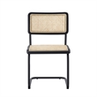 Posh Living Asiyah  Dining Chair (Set of 2) Black