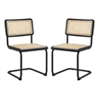 Posh Living Asiyah  Dining Chair (Set of 2) Black